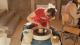 Pottery stills 1 4 1