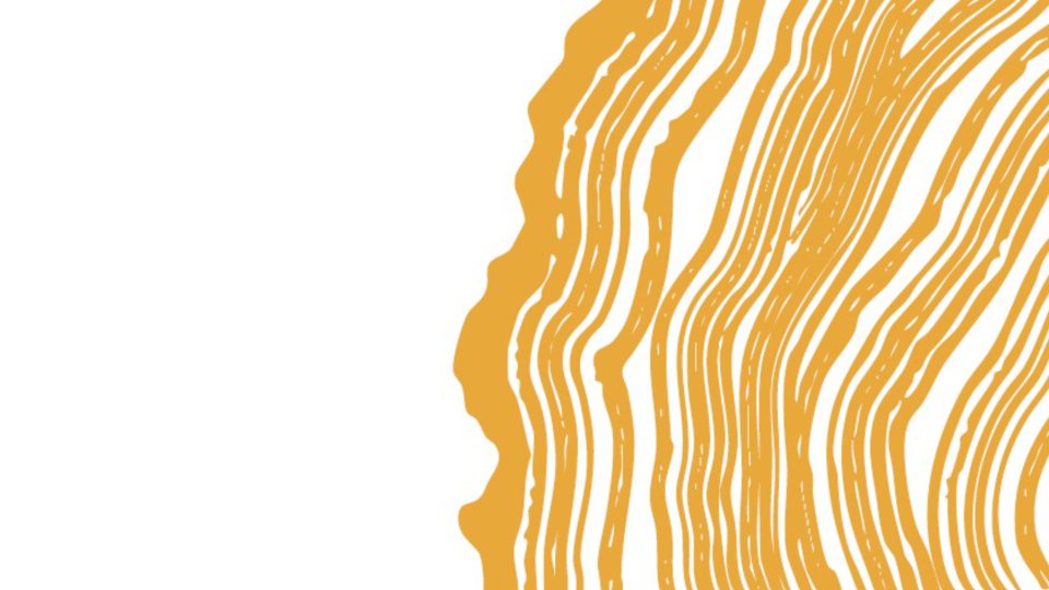 Banner Benefiz Gala tree rings